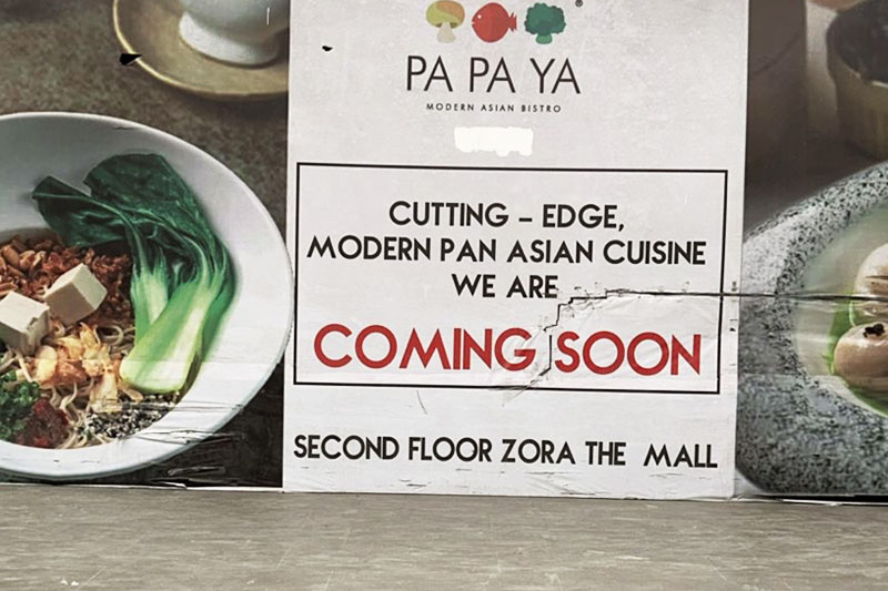 Pa Pa Ya – Raipur Zora the Mall